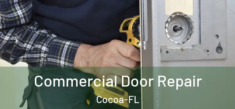 Commercial Door Repair Cocoa-FL