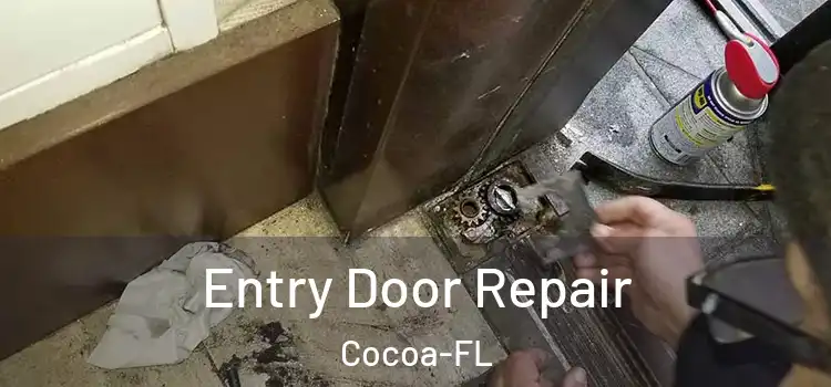Entry Door Repair Cocoa-FL