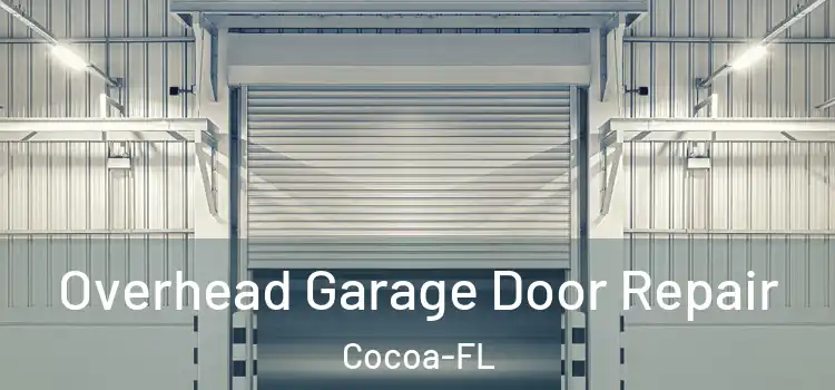 Overhead Garage Door Repair Cocoa-FL